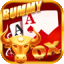 rummy most 41 bonus